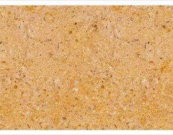 indus-gold indus-gold